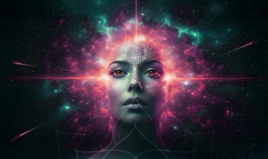 Visionaries Summit VIP Experience